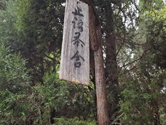-洛阳白马寺