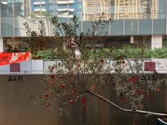-晶采轩(万象天地店)