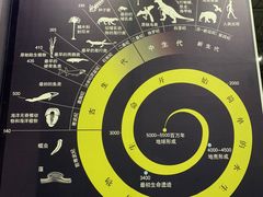 -中国西峡恐龙遗迹园