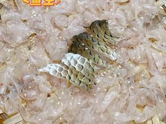 -官塘陈记鱼生·潮汕砂锅粥·牛肉火锅(潮枫路总店)