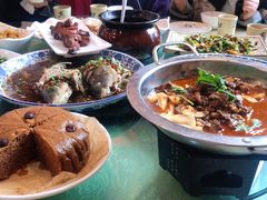 -铁山坪森林公园