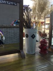 -J-Flying艺术形象设计