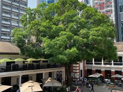 -大馆(前中区警署建築群)