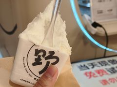 -野人先生现做冰淇淋(北京环宇荟店)