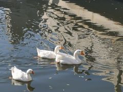 -西安汉城湖景区