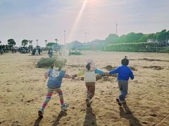 -碧海金沙