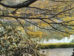 -泰州凤城河风景区-泰山公园