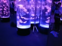 -成都浩海立方海洋公园