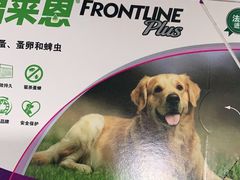 -申普宠物医院·眼科·心内科·影像科(普陀分院)