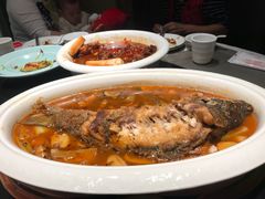 -阿五黄河大鲤鱼(英协路店)