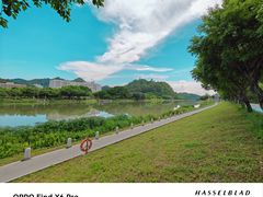 -滴水岩森林公园