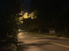 -旅马餐厅(茅家埠店)