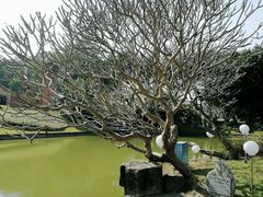 -广州雕塑公园