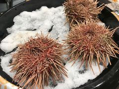 -松葉日料(三胞广场店)