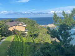 -南紀白浜 浜千鳥の湯 海舟