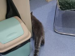 -佑安动物医院·全科·内窥镜中心(幸福巷店)