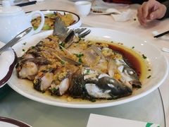 酱椒蒸鱼-福泉美食餐厅