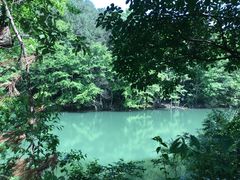 -青龙山国家森林公园