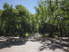 -山东大学(趵突泉校区)