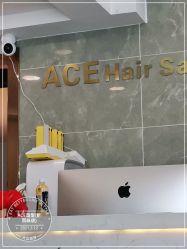 -ACE造型