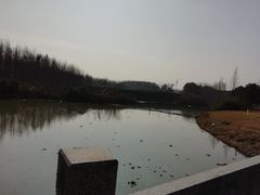 -中华赏石园