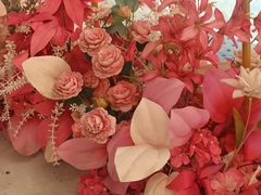 -天空花园餐吧·生日·团建(南山店)