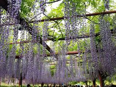 -尹兰楼西北风情餐厅(嘉定店)