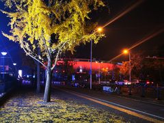 -中华艺术宫(上海美术馆)