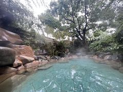 -张家港金凤凰度假村温泉