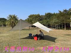 -武陵山森林公园