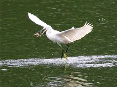 -重庆彩云湖湿地公园