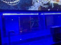 -盛焰铁板烧(王府井店)