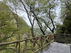 -洛阳白云山景区