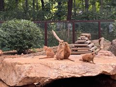 -沈阳森林动物园