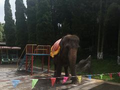 -云南民族村