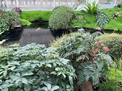 -罗红摄影艺术馆