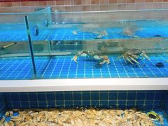 -老西门·常州菜(新区店)