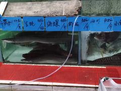 -红海湾豪记海鲜大排档