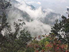 -塔云山