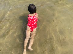 -碧海金沙