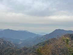 -大岭沟猕猴桃谷风景区