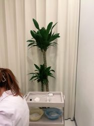 -彼家美创·量肤定制修护管理