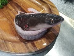-本炙炭烤·蒲烧活鳗料理店(金沙洲店)