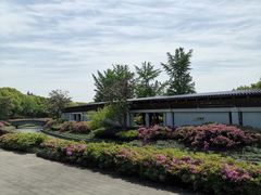 景点-蠡湖大桥公园