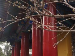 -西安市广仁寺