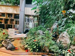 -森味薪火烧•烧鸟居酒屋•日本料理(望京店)