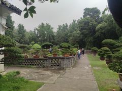 -水绘园