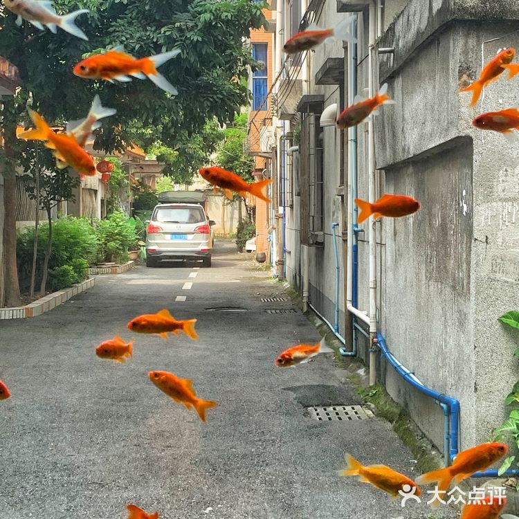 花都探店 | 梦核金鱼咖啡店