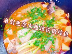 -老刘生态大鱼坊铁锅炖鱼(赛马场店)