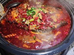 -探鱼·鲜青椒爽麻烤鱼(北京路天河城店)